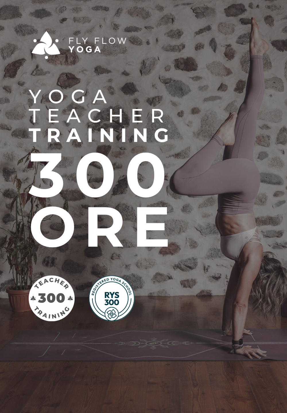 FLY FLOW YOGA TEACHER TRAINING