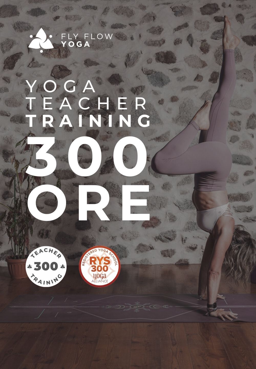 FLY FLOW YOGA TEACHER TRAINING