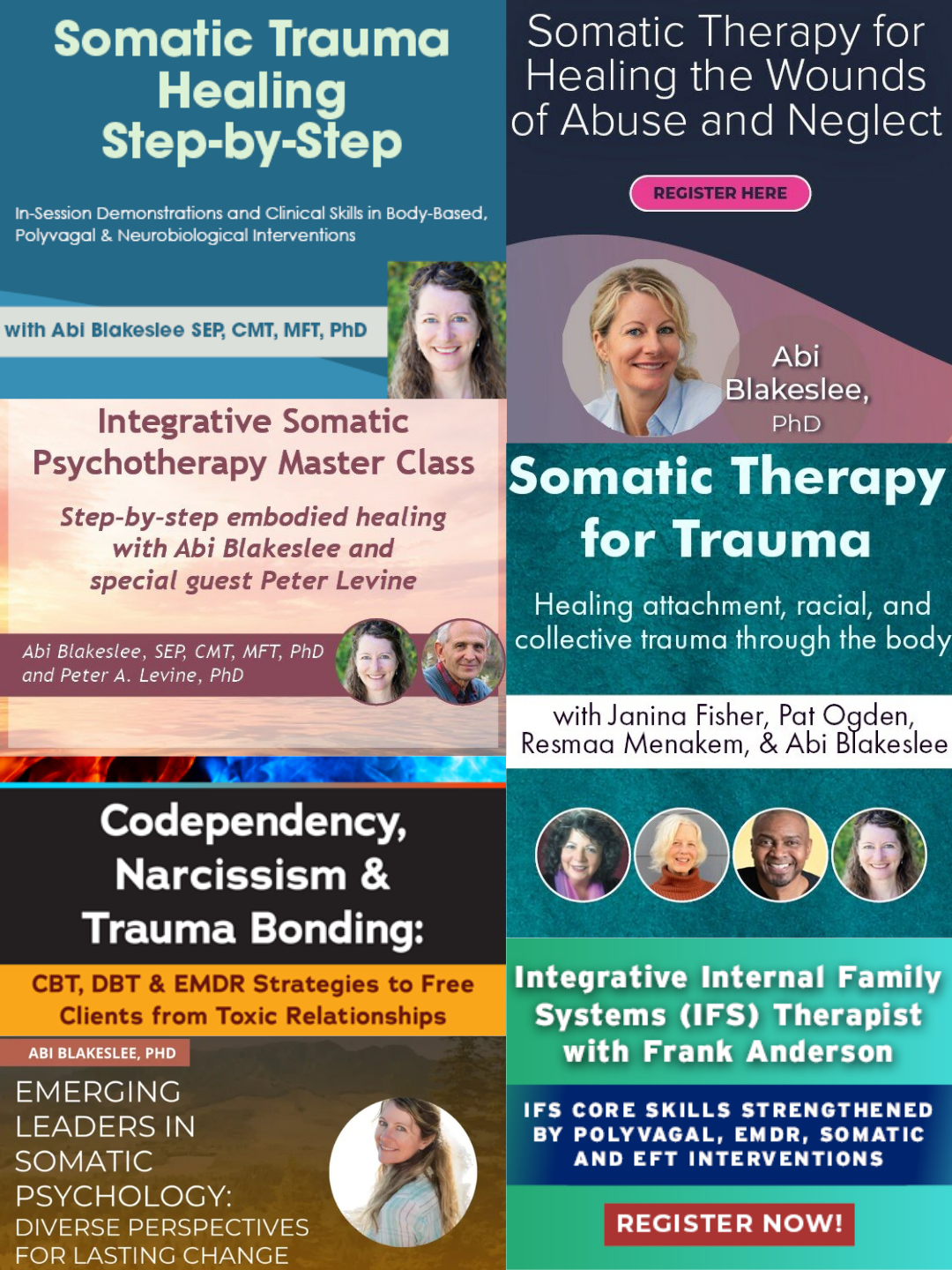 Professional somatic therapy training courses featuring Dr. Abi Blakeslee including certification programs, master classes, and continuing education for therapists