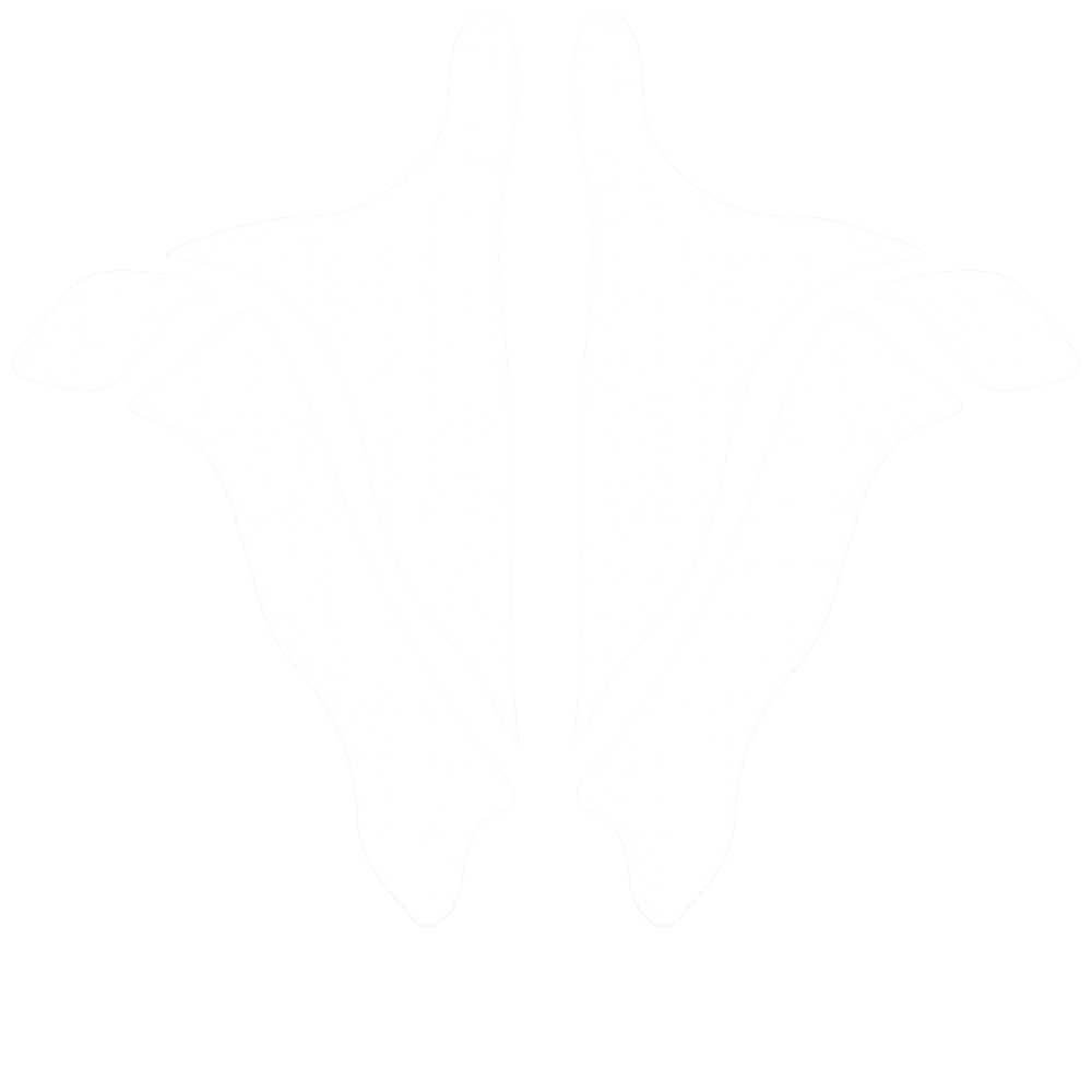 Institute of Human Anatomy Logo