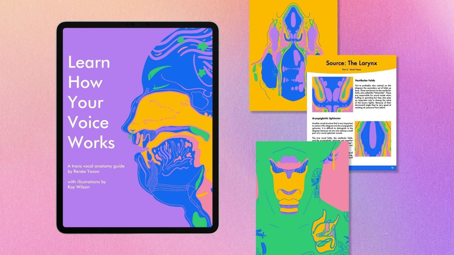 Free voice anatomy e-book explaining how vocal cords work for transgender voice training