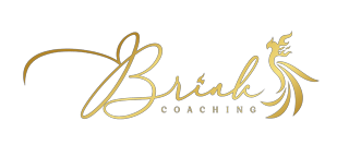 Evelyne Brink