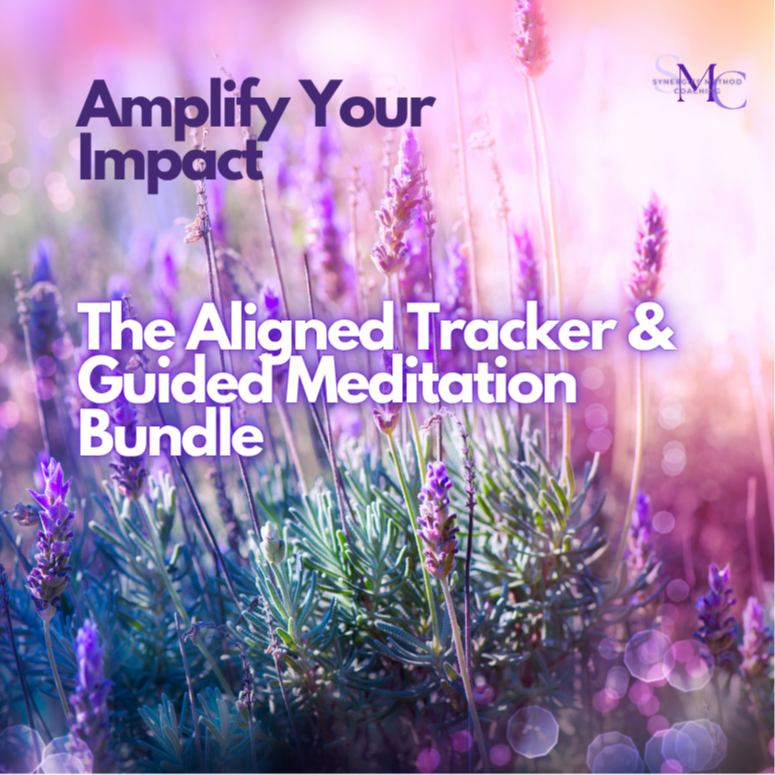 Amplify Your Impact Aligned Tracker & Guided Meditation Bundle Thumbnail