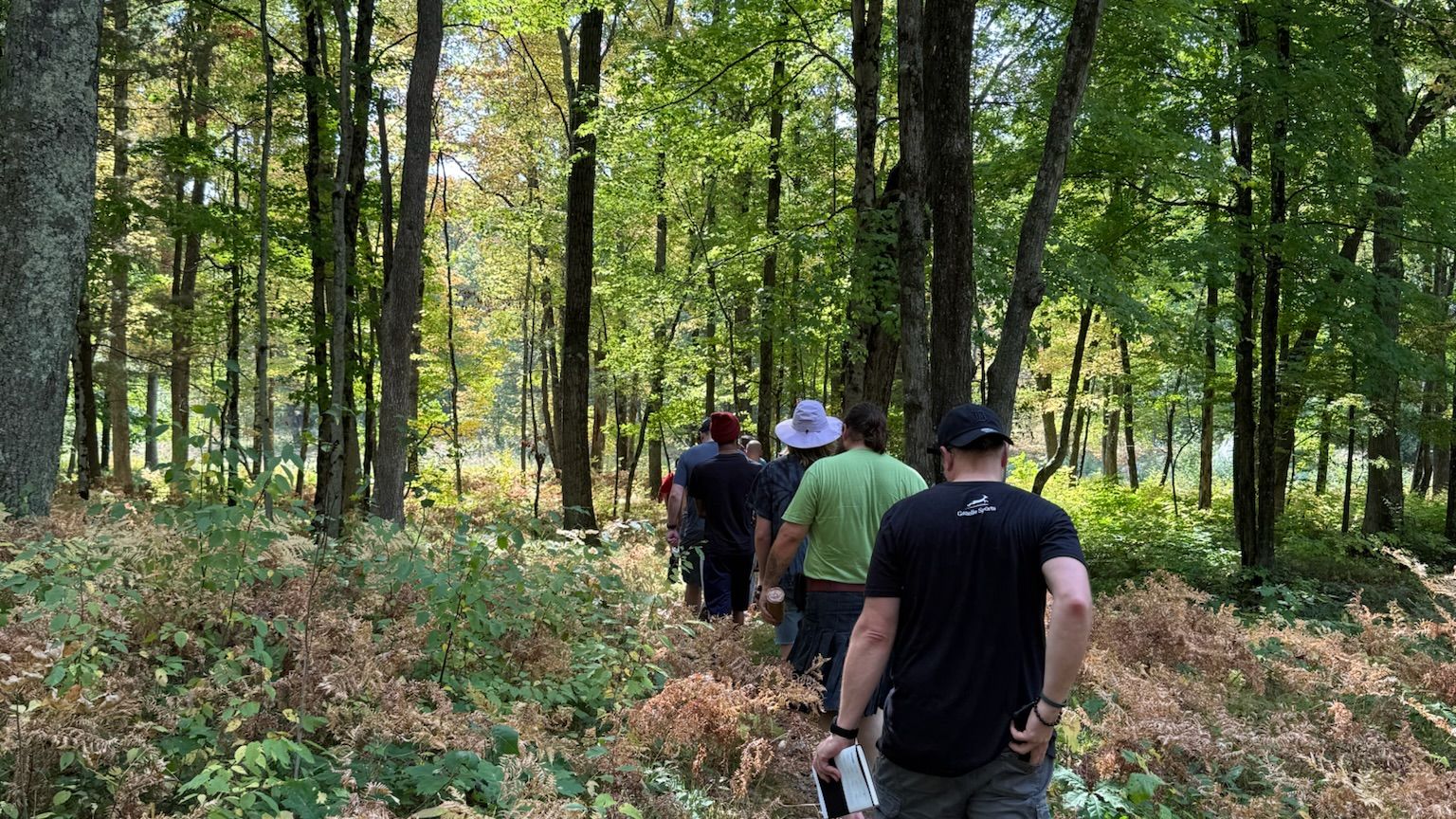 Men hiking single file through a sunlit forest trail during a past Metro-Detroit Men's Therapy retreat in northern Michigan