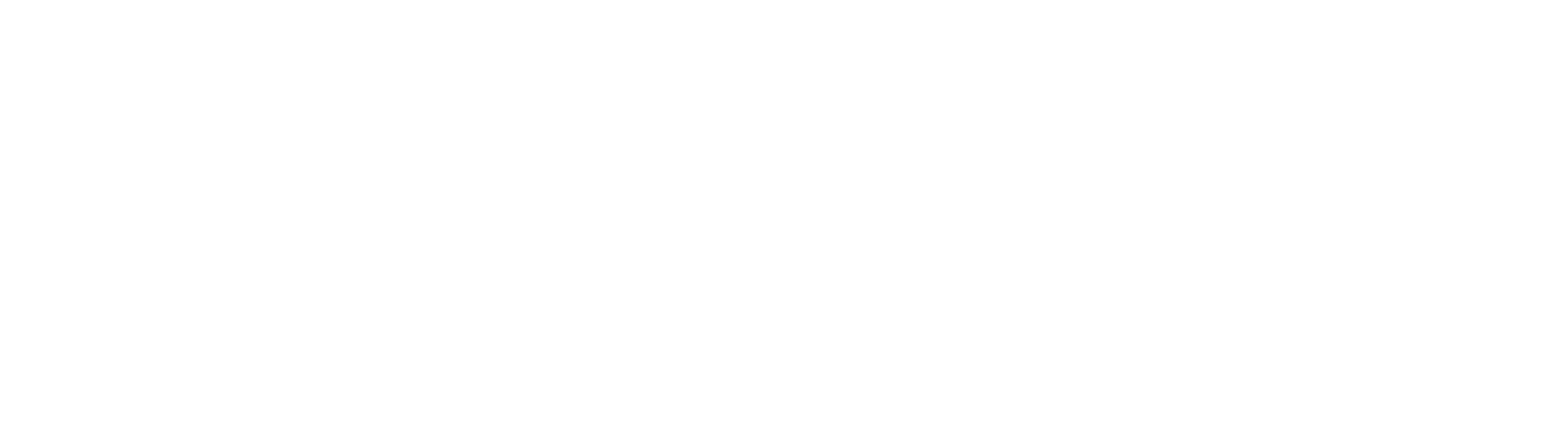 timerichrecruiter.com logo with white, green, gold and red