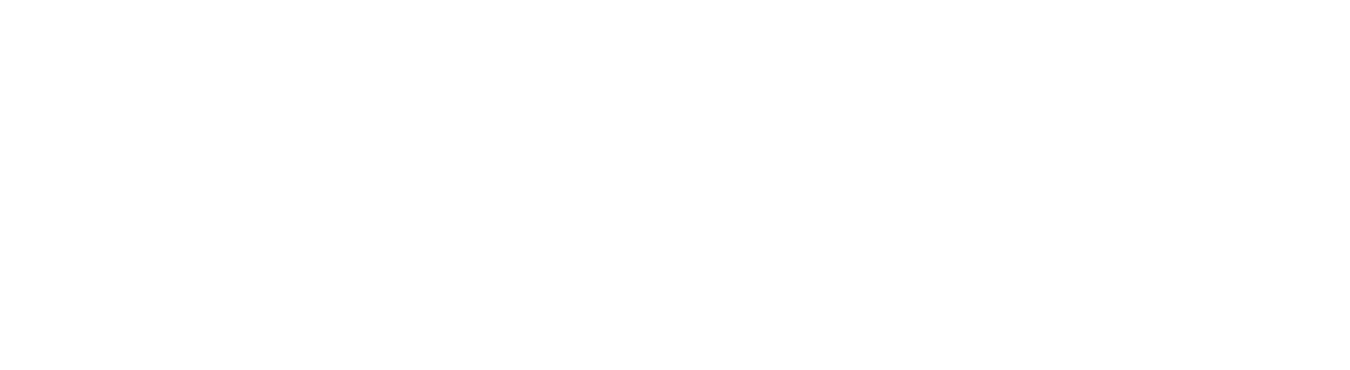 httthesidehustleaccelerator.com logo with white, green, gold and red