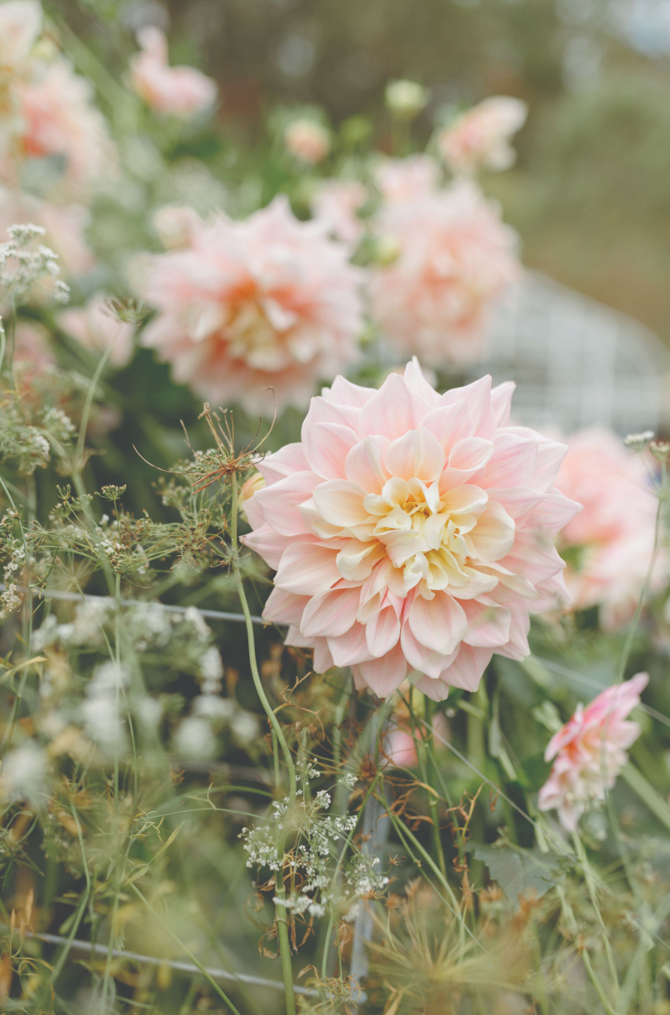 Surface Pattern Designer and Creative Entrepreneur Bonnie Christine’s inspiration board, featuring nature-inspired elements like a monarch butterfly, fabric swatches, and earthy color palettes.
