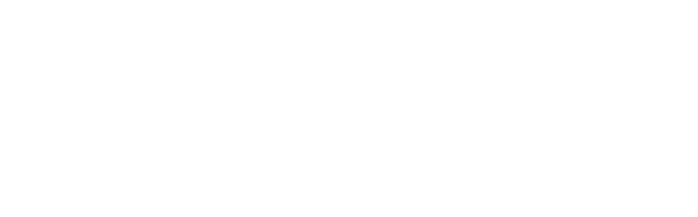 Clever AI Consult