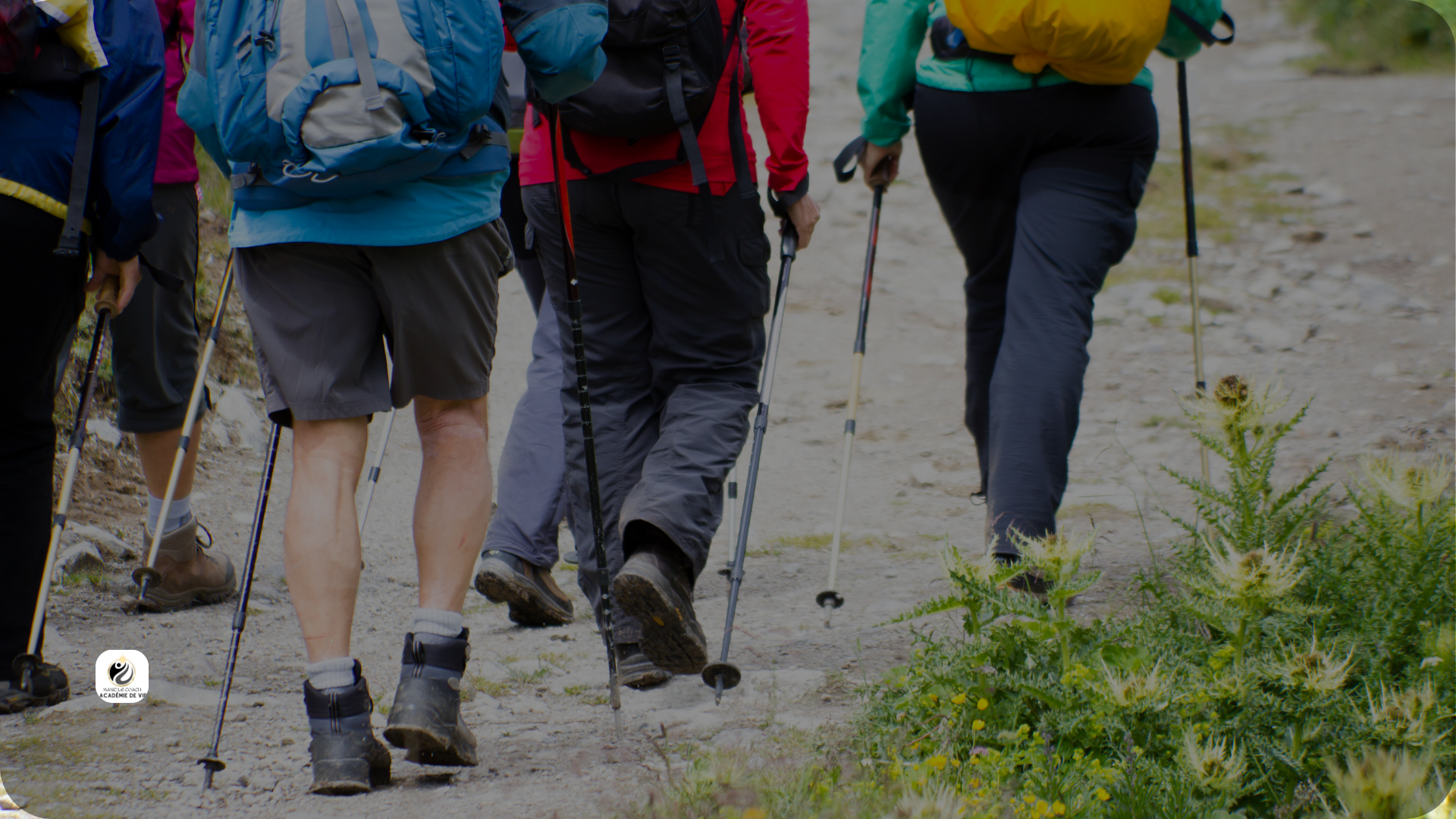 SOUTIEN. RETROUVER Harmonie, joie et sérénité