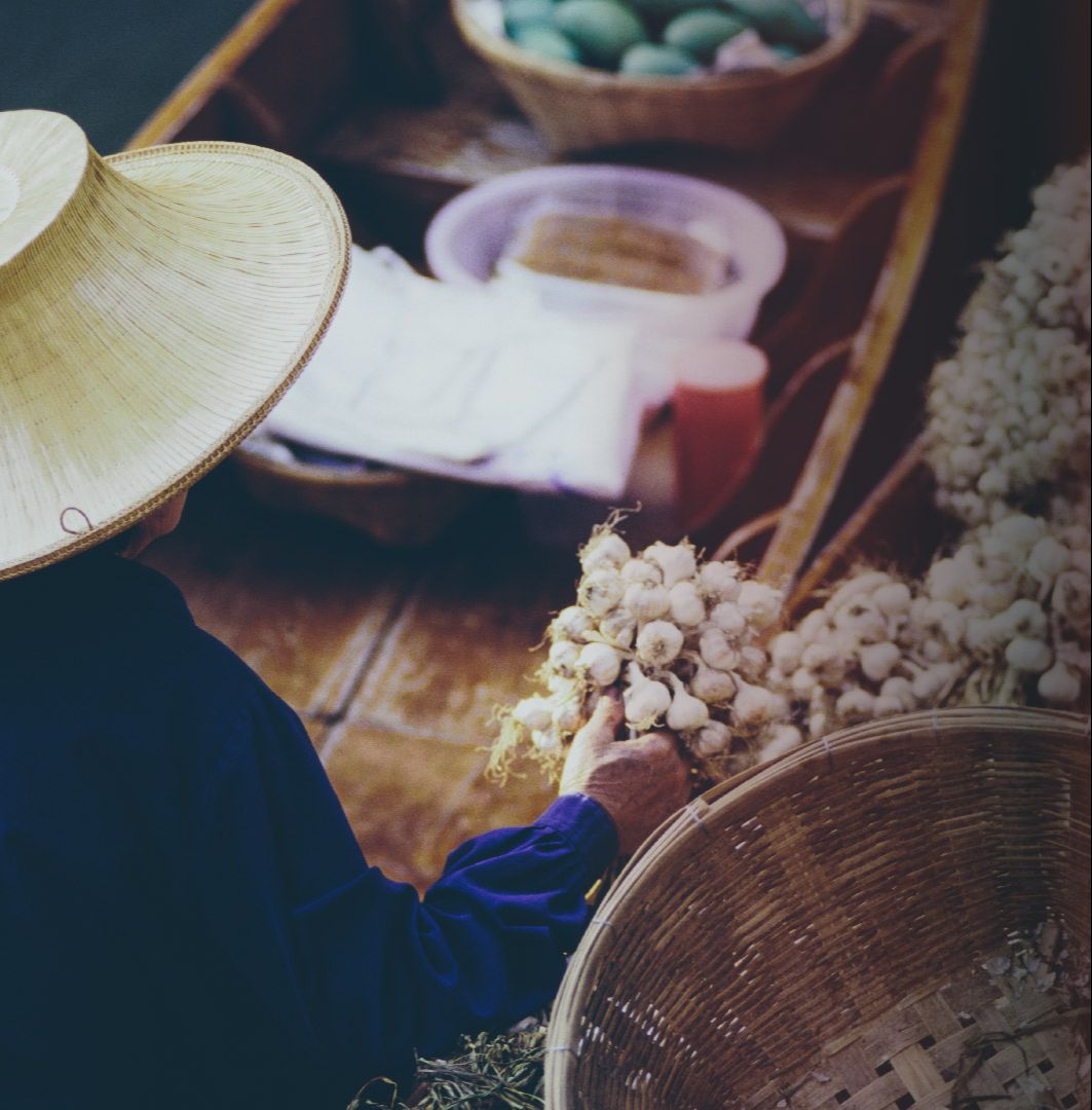 Las guerras médicas