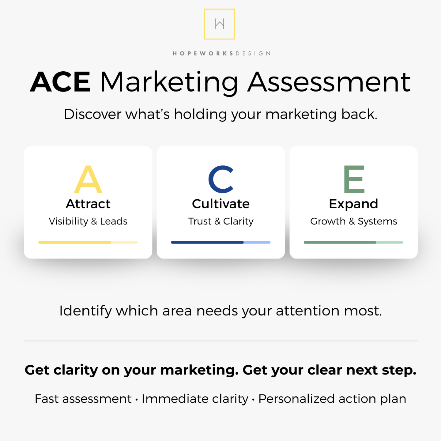 The ACE Marketing Assessment