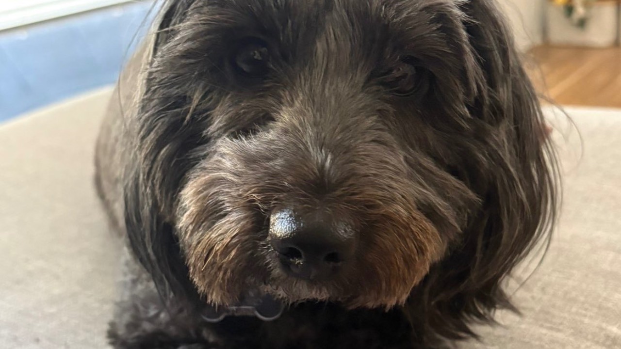 Partnership with PassGP and Dela Rosa Visa Consultancy Helping Healthcare Professionals Build Their Future in Australia