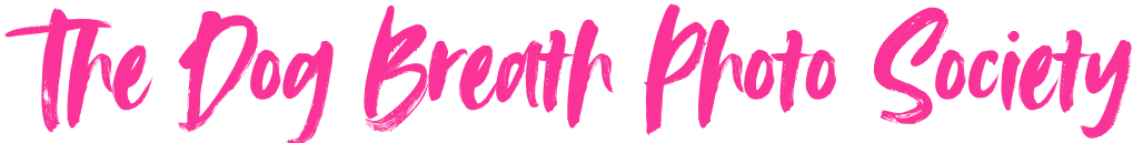 The Dog Breath Photo Society