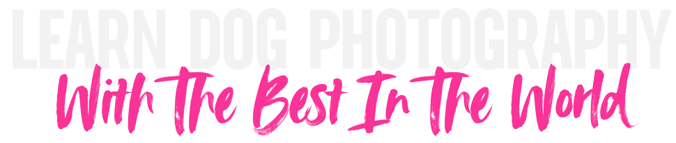 learn dog photography with the best in the world 