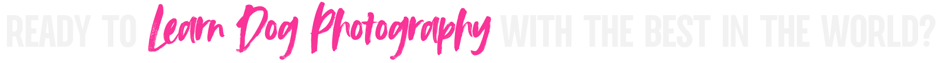 READY TO LEARN DOG PHOTOGRAPHY WITH THE BEST IN THE WORLD?