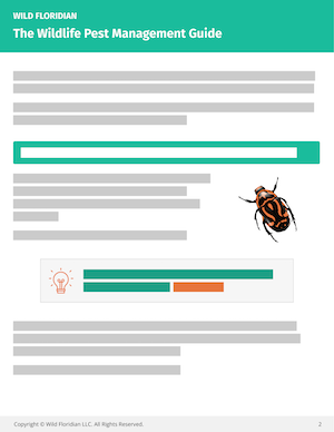 Wildlife Pest Management Guide teaser image