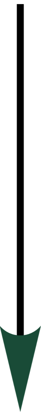 Michael Carey Signature