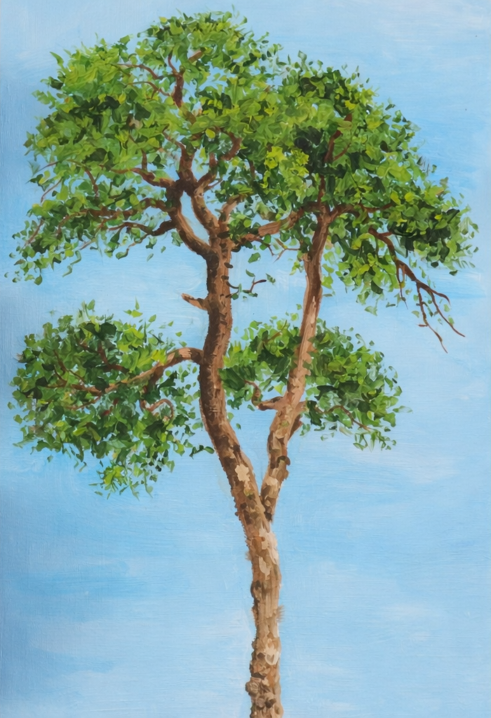 peinture d'un arbre par un étudiant du cours de peinture de paysage