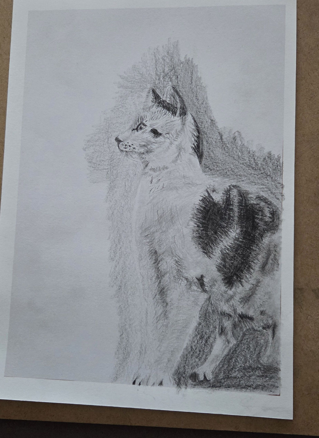 dessin chat exercice debutant