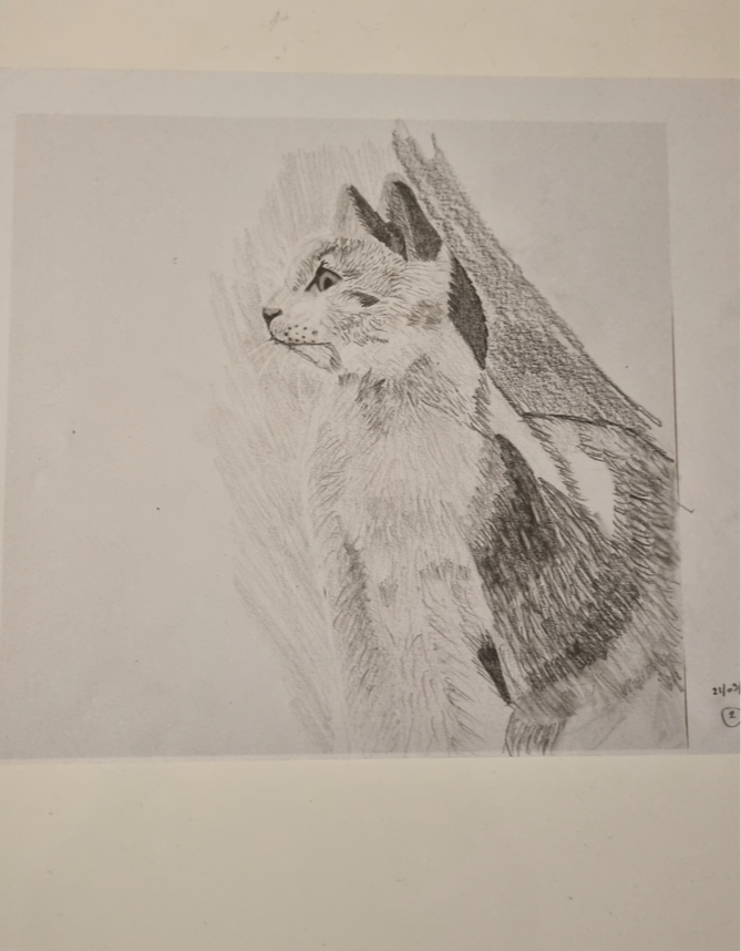 dessin etudiant chat technique realiste