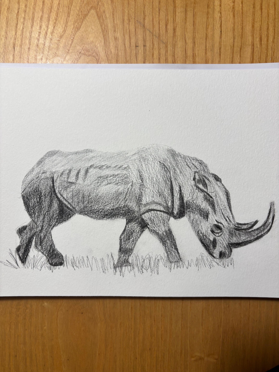 cours de dessin pour apprendre à dessiner un animal