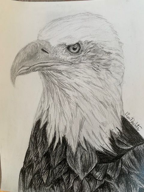 dessin d'un aigle fait par un élève du cours de dessin