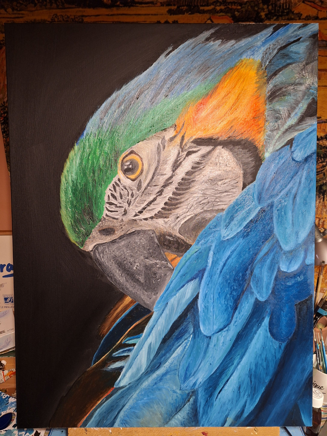 peinture huile perroquet eleve ombrage et lumiere