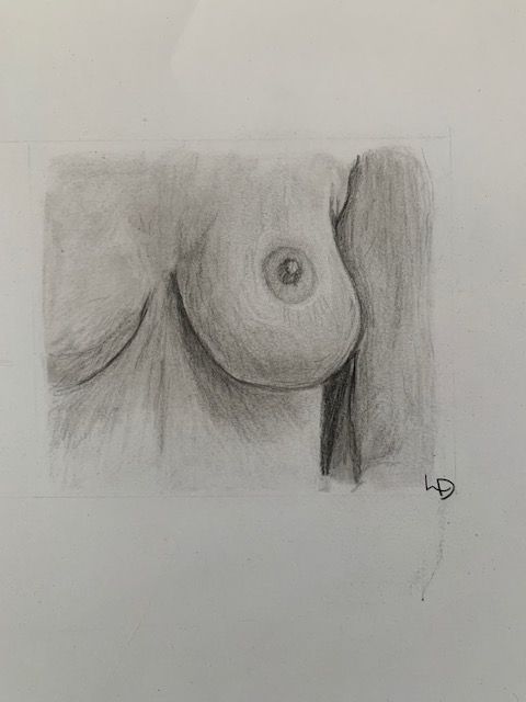 dessin sein corps humain eleve progression