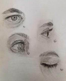 dessin oeil rendu naturel eleve