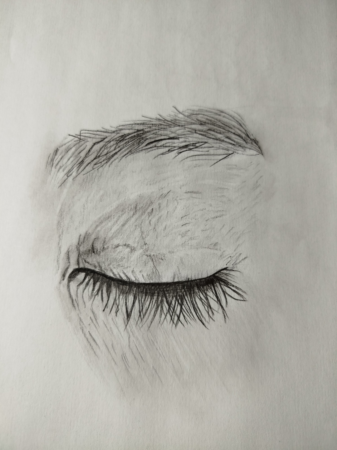 dessin oeil ferme progression eleve