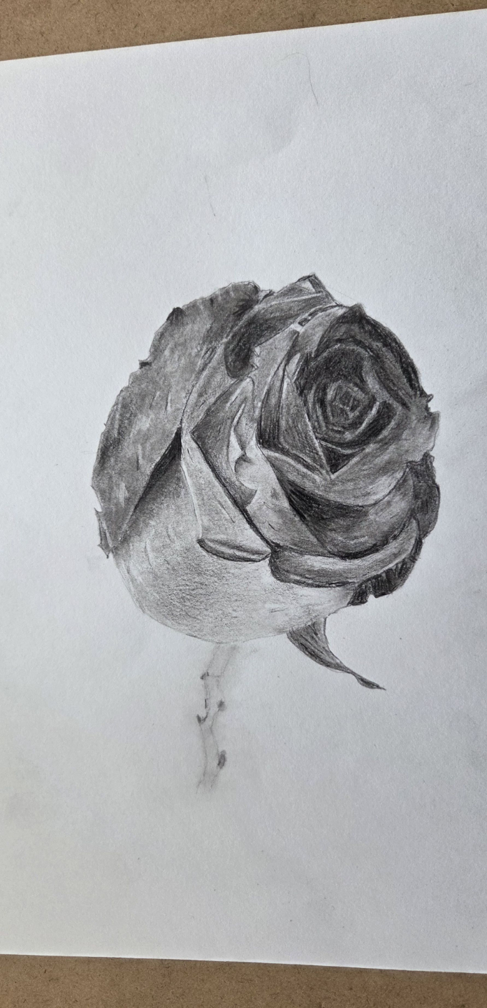 peinture à l'huile réaliste d'un sein fait un étudiant du cours sur le corps humain