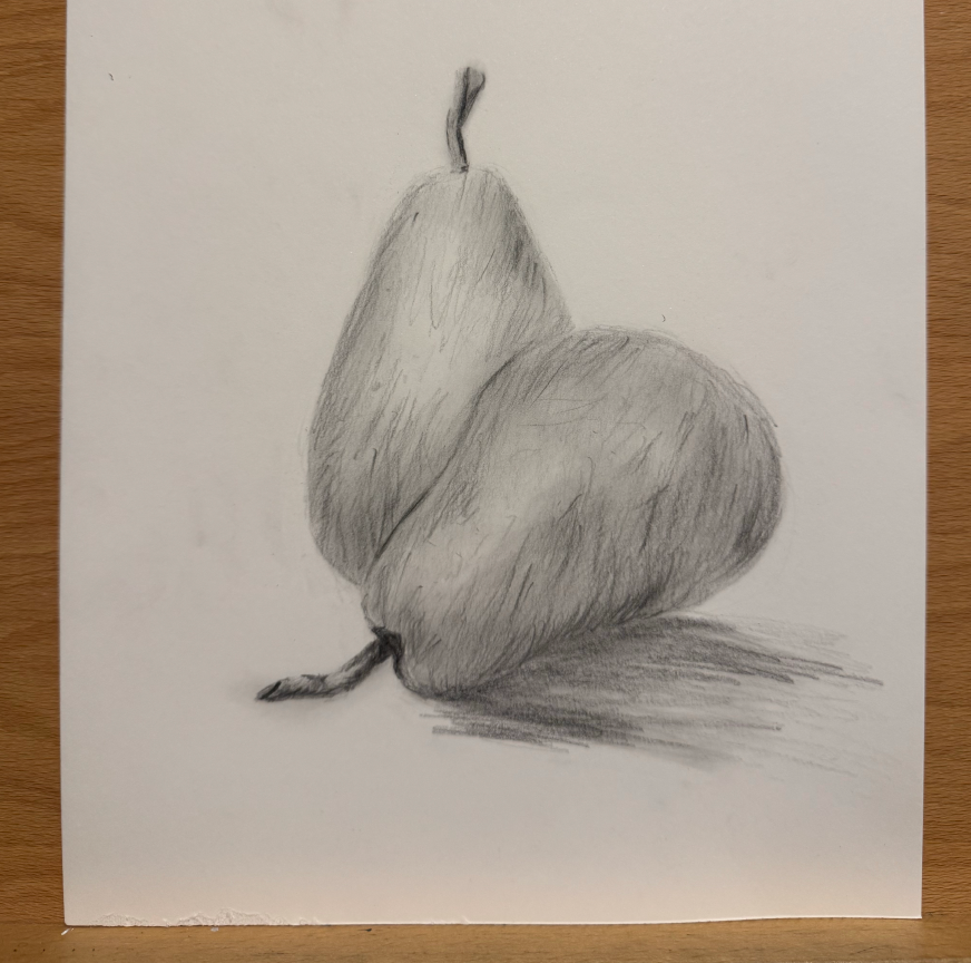 peinture à l'huile d'un chat par un étudiant du cours