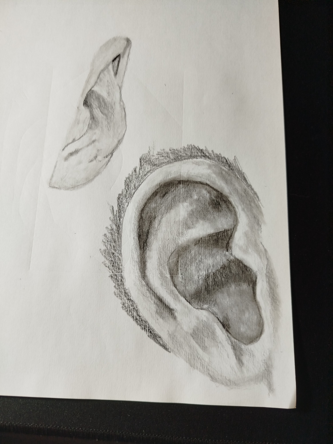 dessin oreilles portrait exercice debutant