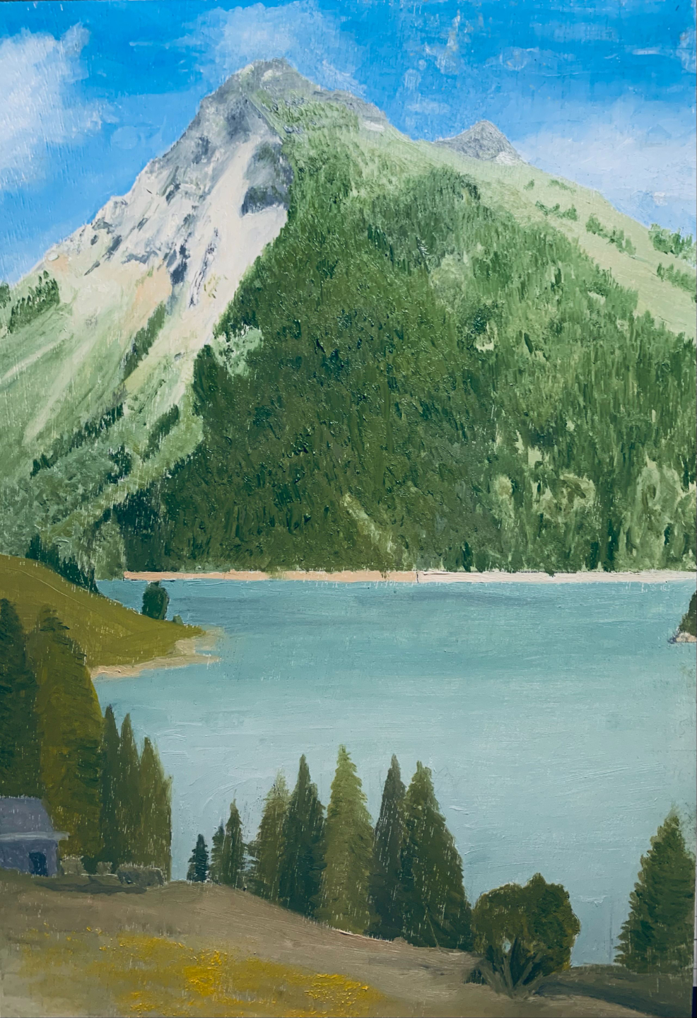 exerice  paysage peinture huile cours eleve