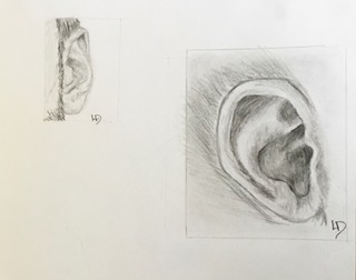 dessin d'un éléphant dans le cours de dessin animalier