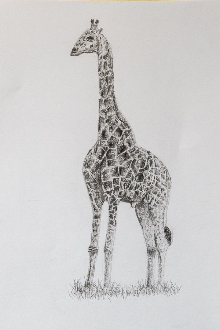 dessin de portrait d'une femme dans le cours de dessin