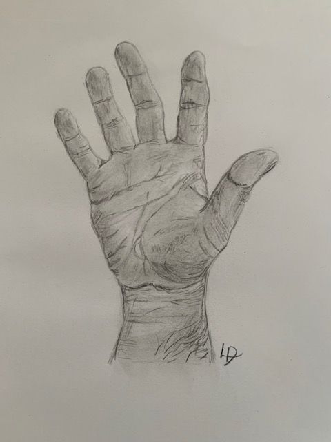 dessin du dos d'un homme musclé dans le cours de dessin