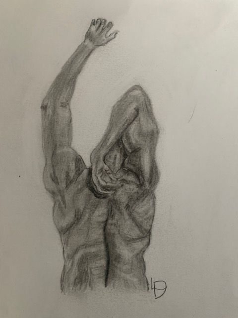 dessin corps humain homme apprentissage eleve