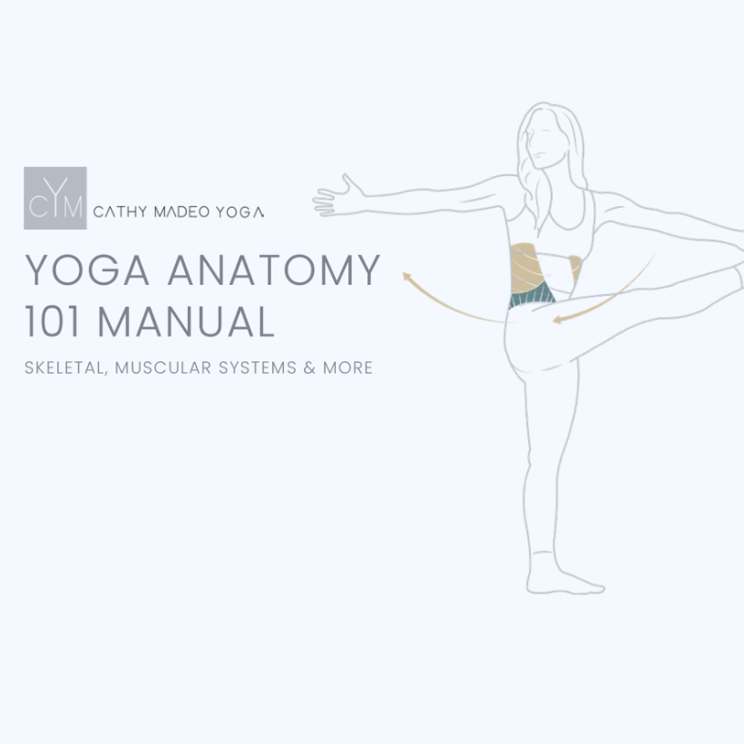 yoga anatomy