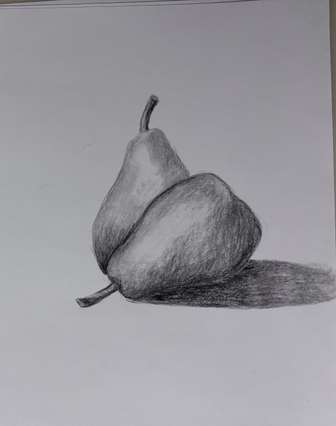 student drawing of two pears from the course on the basics of drawing