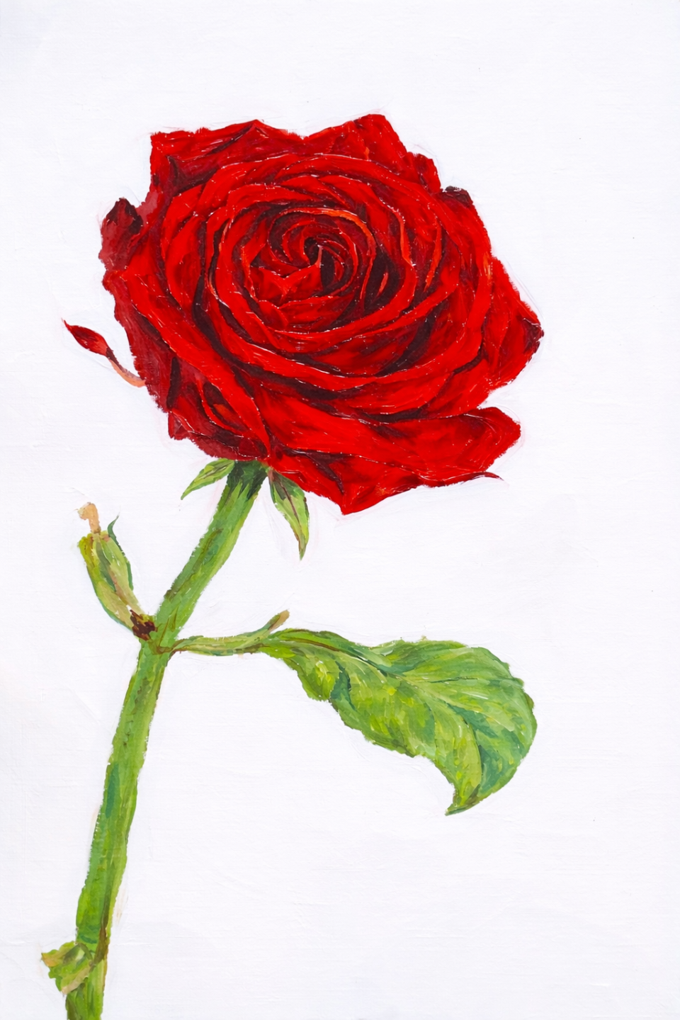 oil painting of a rose made by a student
