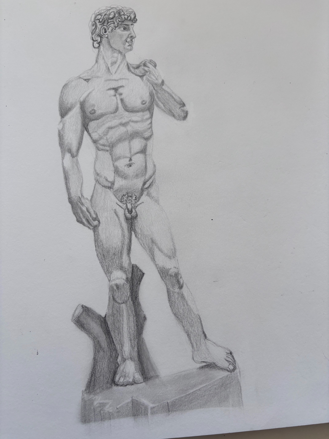 Human body drawing study completed in the portrait and anatomy module
