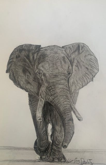 Beginner drawing of an elephant completed during structured art lessons