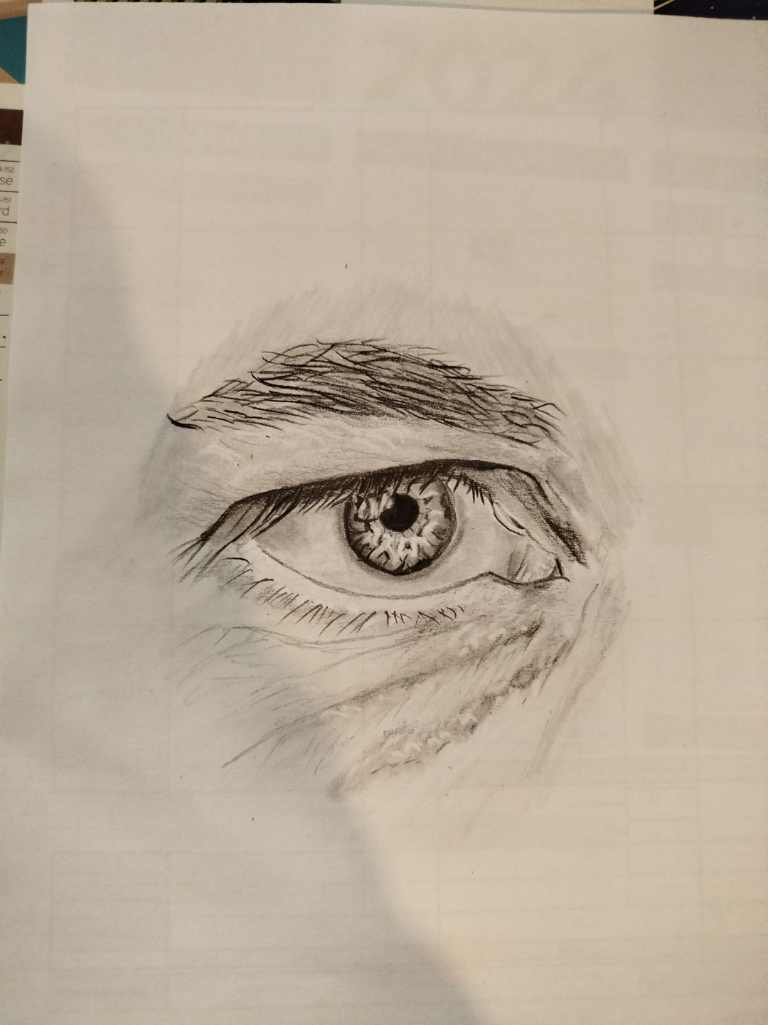 drawing of an eye from the portrait drawing course