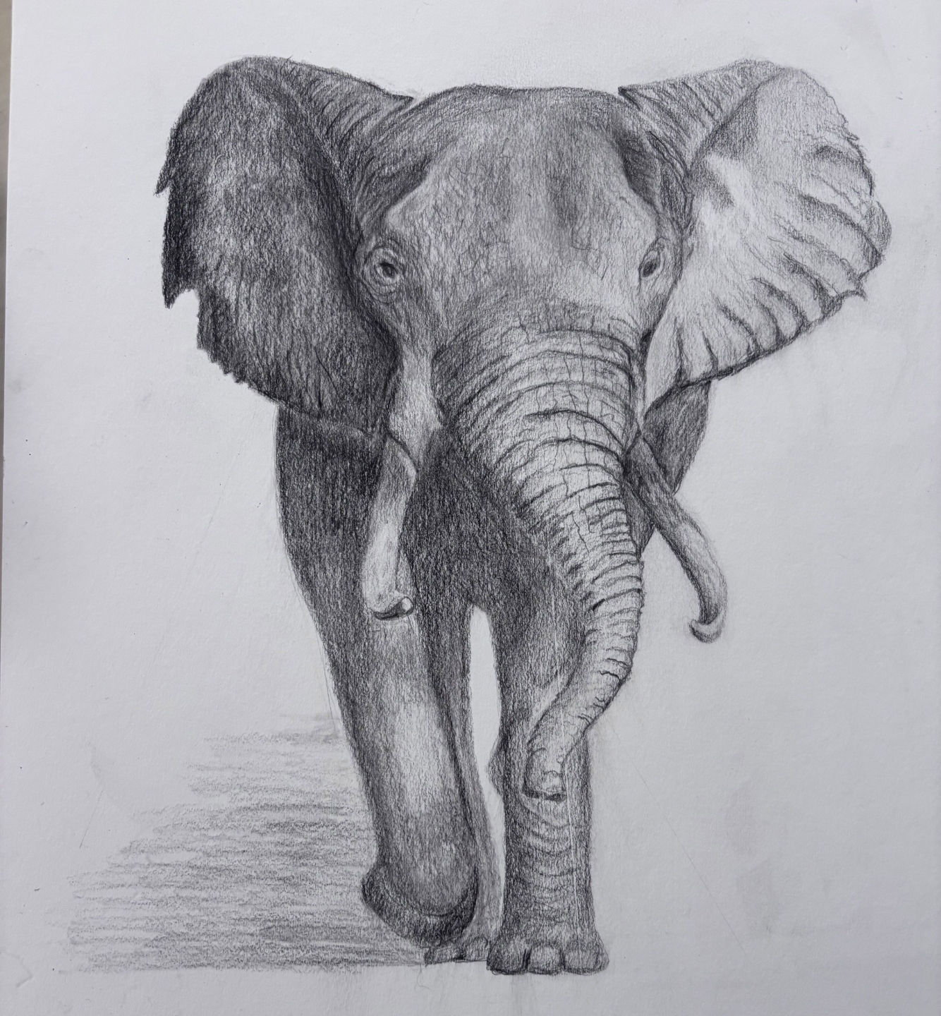 Beginner drawing of an elephant completed during structured art lessons