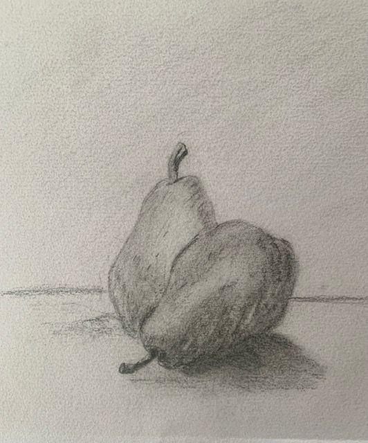 Still life drawing project completed step by step by a student