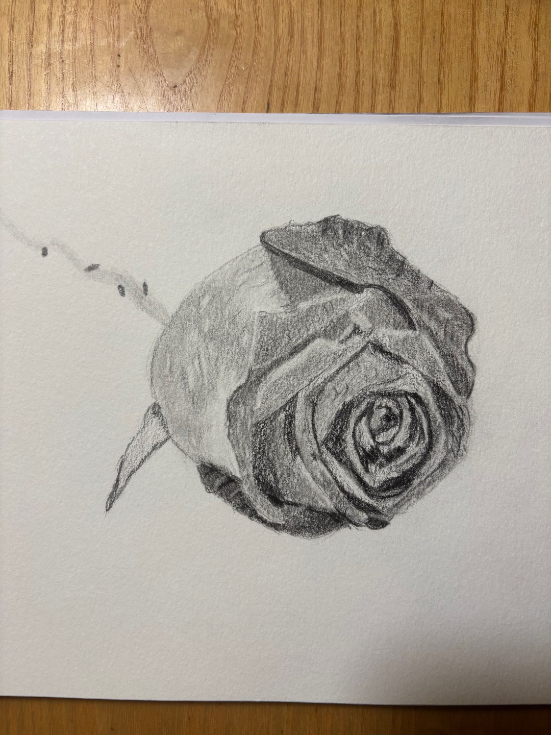 Still life drawing project completed step by step by a student