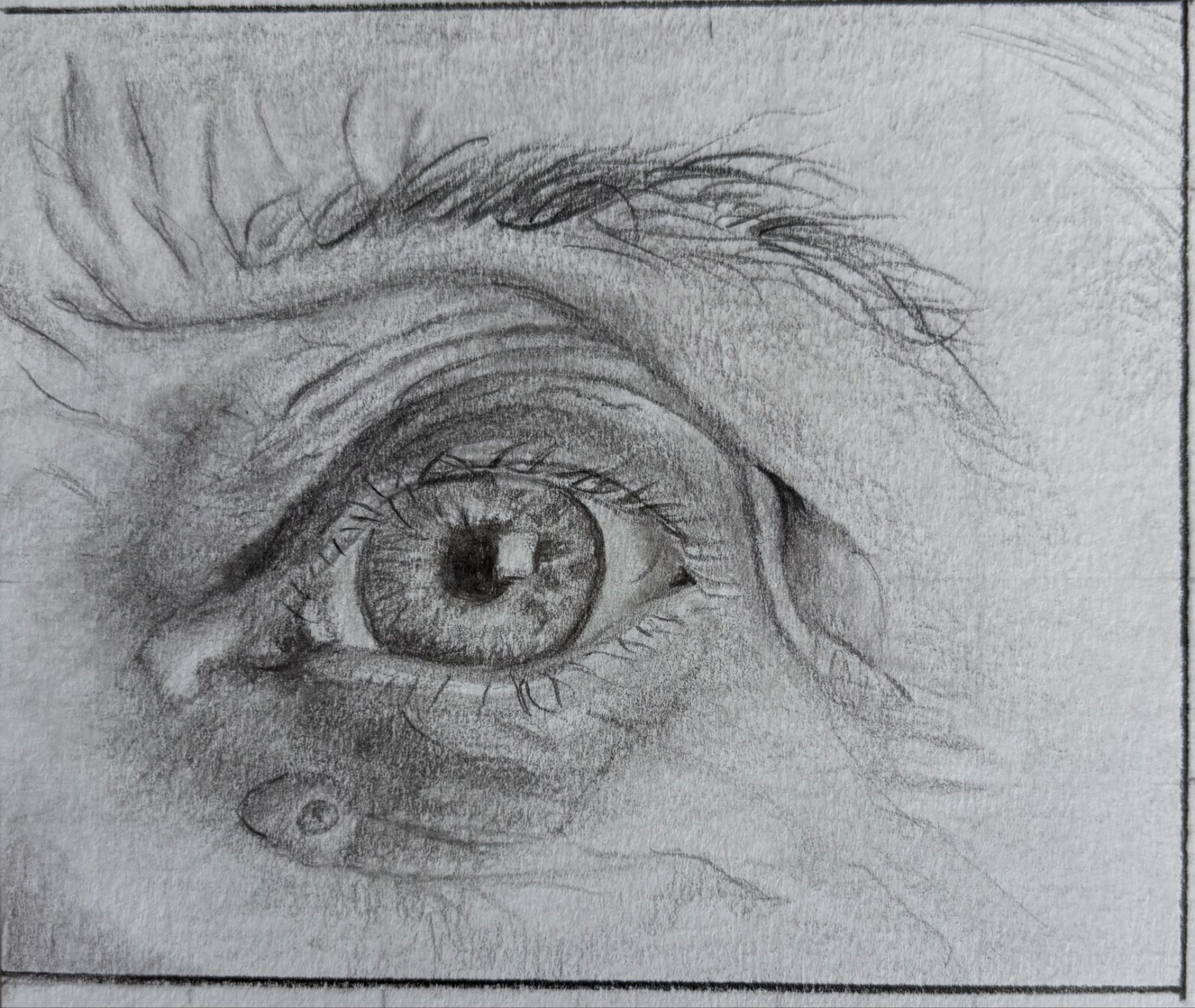 Realistic eye drawing made during the online drawing course