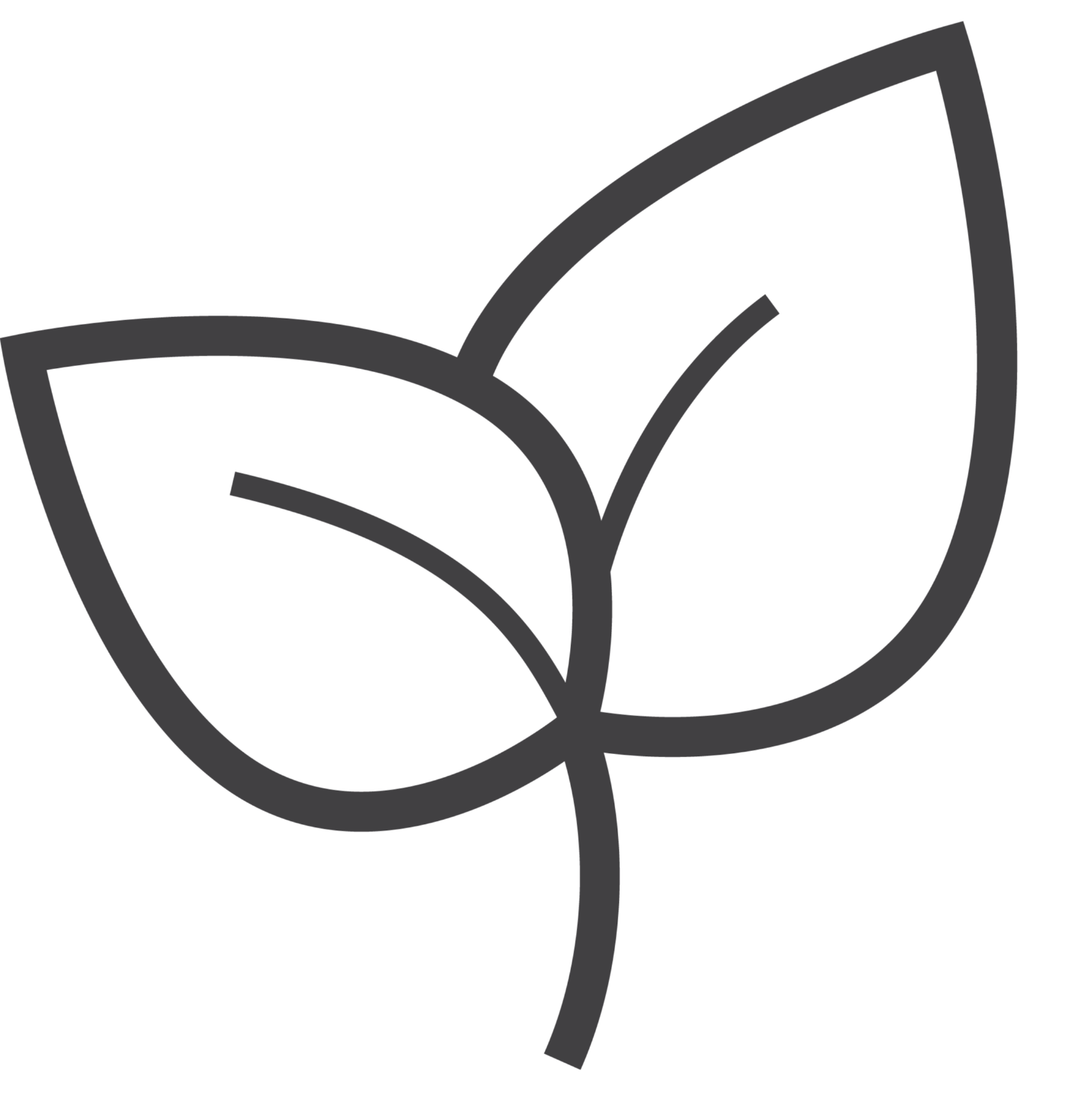 Graphic of a Sprout to Represent Spring