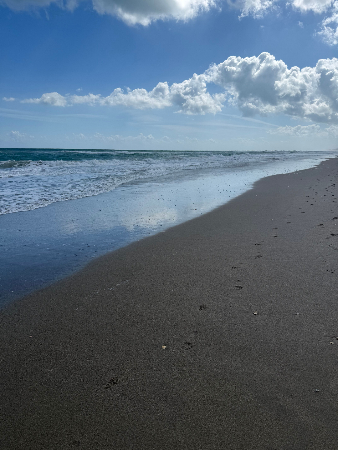 Two women smiling with their dogs, representing the peace and connection found after healing trauma